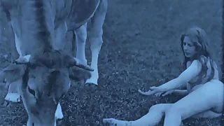 Vintage Babes Far Pets